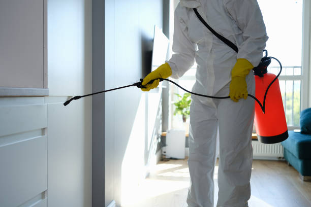 Best Post-Flood Mold Remediation in Enid, OK